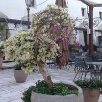 San Felice Circeo