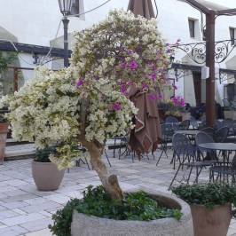 San Felice Circeo