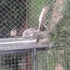 Parque Zoologico Riojanatura