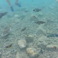 Lawa'i Beach