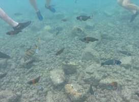 Lawa'i Beach