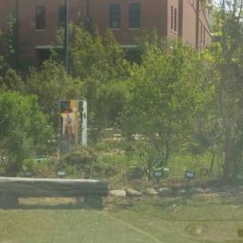 Medicine Wheel Garden