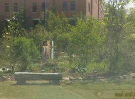 Medicine Wheel Garden