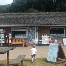Hillside Shire Horse Sanctuary