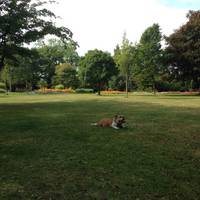 King George's Playing Fields