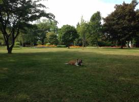King George's Playing Fields