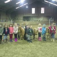 Sicklinghall Pony Parties