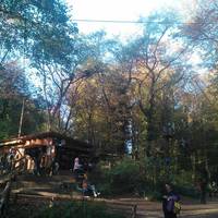 Waldseilpark Karlsruhe
