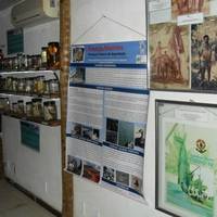 Sea and Captaincy Museum