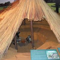 Museum UFRGS