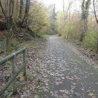 Pista Ciclabile della Valganna e Valmarchirolo