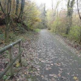 Pista Ciclabile della Valganna e Valmarchirolo