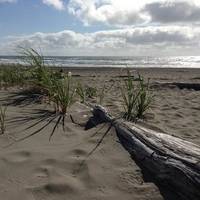 Twin Harbors Beach State Park