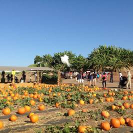 Tanaka Farms LLC