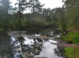 Starr's Mill