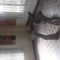 PUCPR University Museum