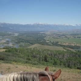 Teton Village Trail Rides