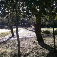 Parco Ente Foreste di Assai