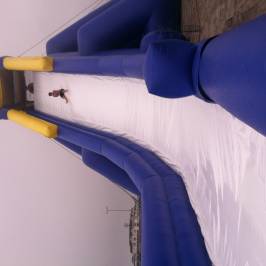 Hippo water slide