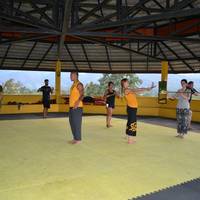 Nam Yang Kung Fu Retreat Day Courses