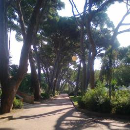 Pineta Marradi