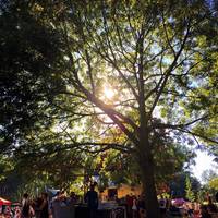 Vroesenpark