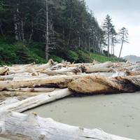 Third Beach