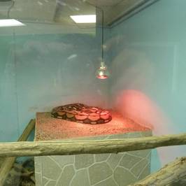 Maritime Reptile Zoo Limited