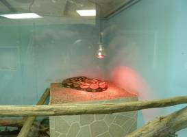 Maritime Reptile Zoo Limited