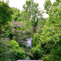 Pony Pasture Park (James River Park System)
