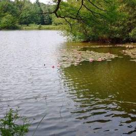 Parc des Gayeulles