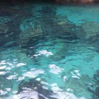 Caves of Marettimo