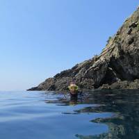 Ustica Diving