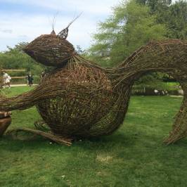 Jardin Botanique de Tours