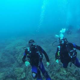 H2O Divers