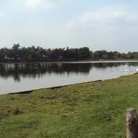 Hatchet Pond near Beaulieu