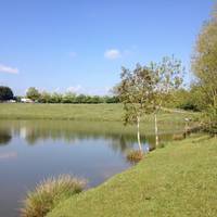 Meadowlands Fishery