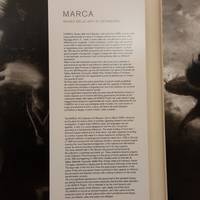 Museo Marca