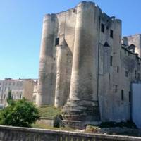 Le Donjon de Niort