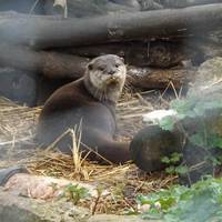 Exotic Pet Refuge