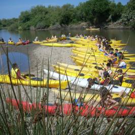 New Kayak Sardinia