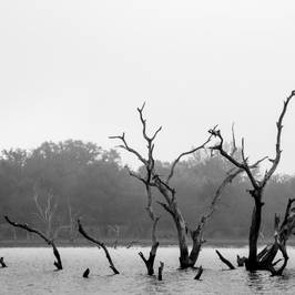 Coleto Creek Park & Reservoir