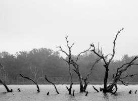 Coleto Creek Park & Reservoir