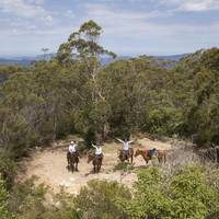 Southern Cross Horse Treks