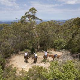 Southern Cross Horse Treks