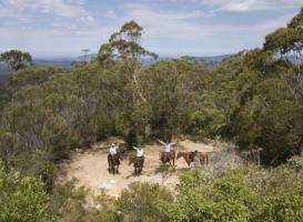 Southern Cross Horse Treks