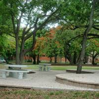 Peacock Park