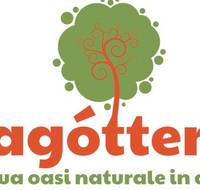 Il Lagottero