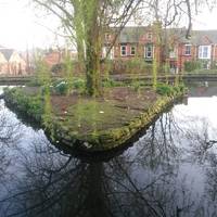 Lincoln Arboretum