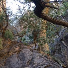 Soledad Canyon Day Use Area